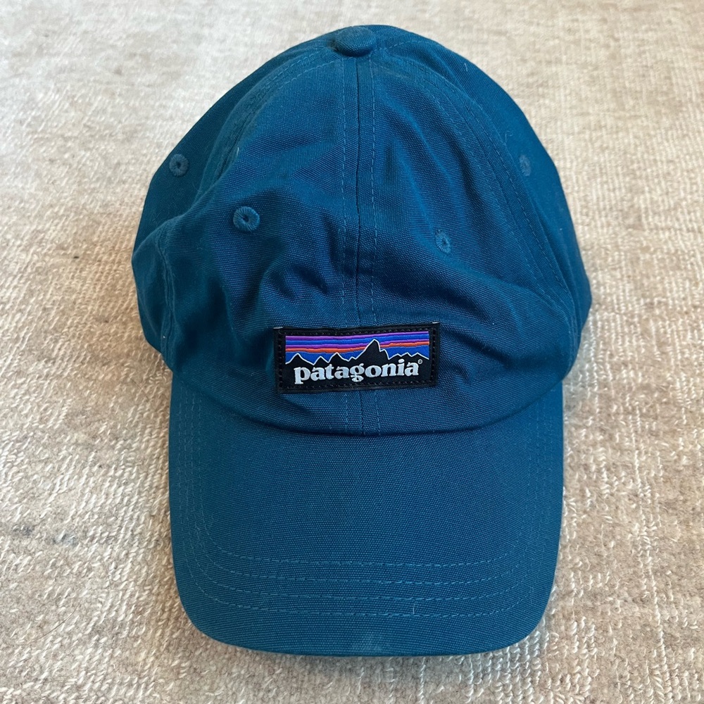 Patagonia blue logo hat